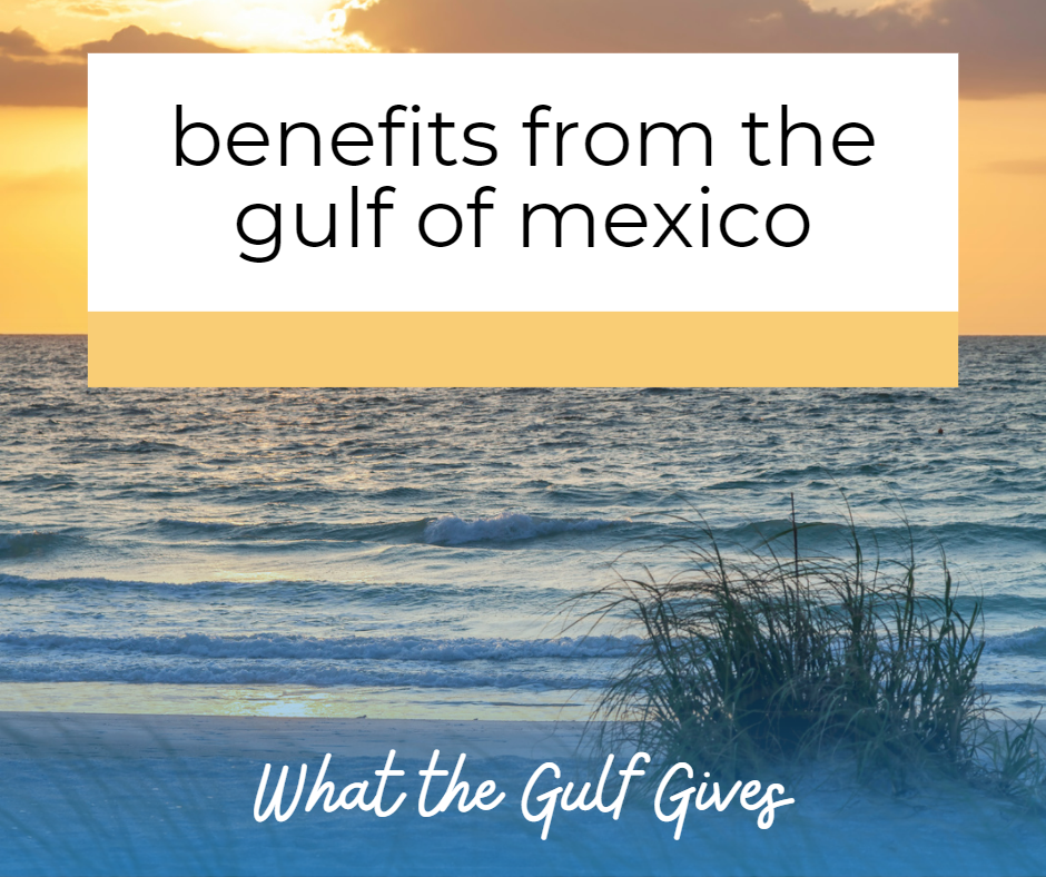 Celebrate with us as we explore the connection between coastal resources and the benefits to people. #WhattheGulfGives