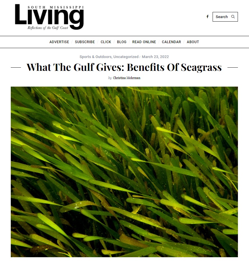Seagrass and title of article