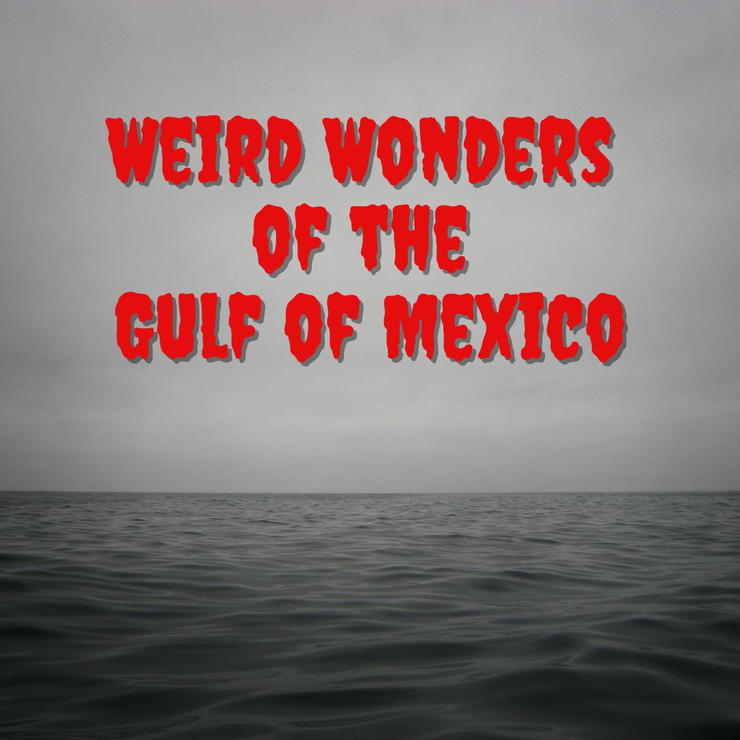 Weird Wonders of the Gulf of Mexico Gulf of Mexico Alliance