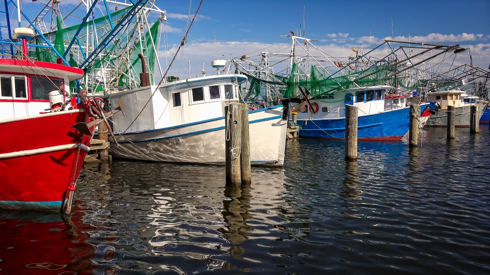 red white and blue shrimp boats in harbor