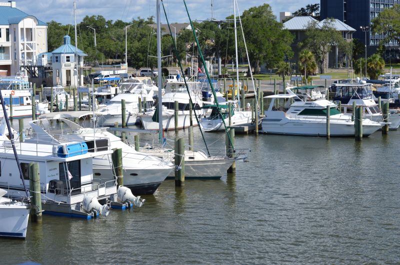 Boats in marina