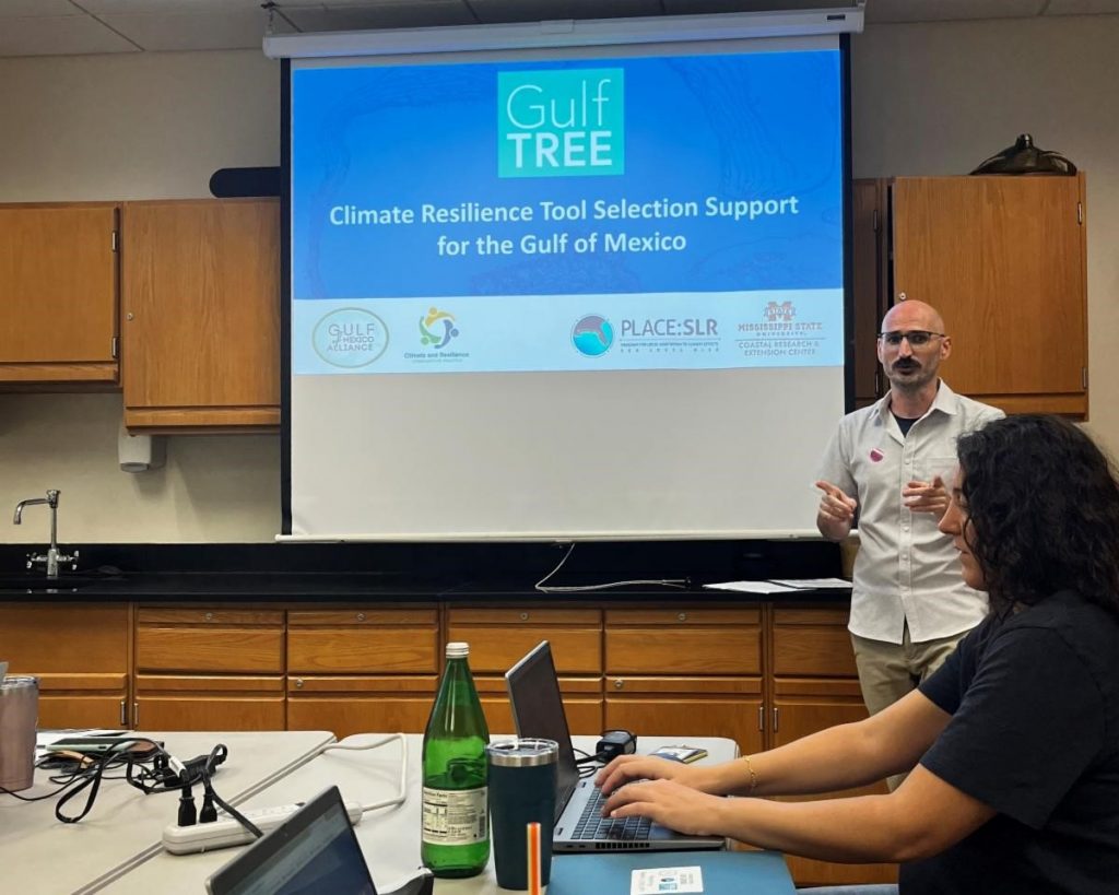 Woman seated and using computer. Man standing next to a projector screen for Gulf TREE presentation